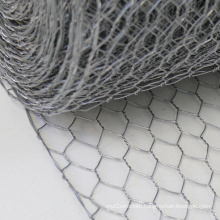 Cheap Price chicken coop galvanized wire mesh/ Hot dipped Galvanised Netting Roll(Hot sale)